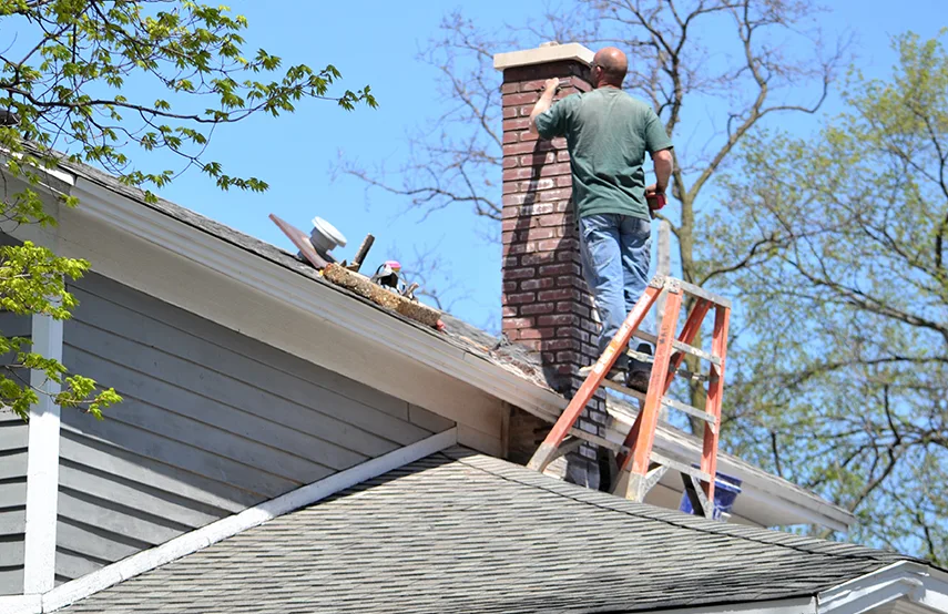 Chimney & Fireplace Inspections Services in Deer Park, TX